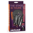 Набор парикмахерских ножниц Jaguar Ergo Set Stage Is Yours J-8393 в редизайне (J-82255 + J-83855)