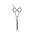 Ножницы для стрижки филировочные Artero Eclypse Thinning 40T 5.5' (Т65755)