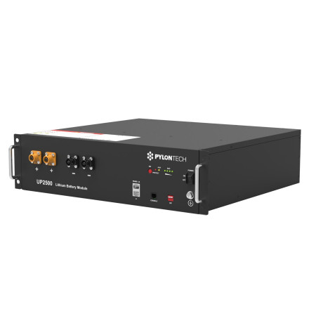 Литиевая аккумуляторная батарея Pylontech UP2500 (2,8 кВт*ч / 24В) 