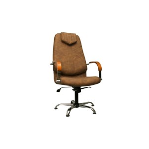 Педикюрне крісло Дива-Стиль Клео -1 з металевими підлокітниками екошкіри