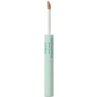 Точковий коректор Payot Pate Grise Styl Duo Purifiant Correcteur 2 в 1 для підсушування запалень та локального маскування недосконалостей 2*5 мл