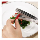 Кухонні ножиці Kalipso Salad Scissors 5-ти шарові для нарізки зелені