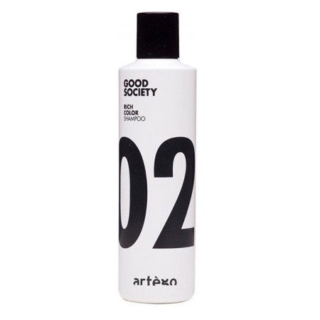 Шампунь Artego Rich Color 02 для фарбованого волосся 250 мл