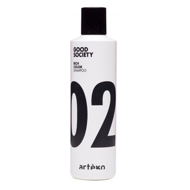 Шампунь Artego Rich Color 02 для фарбованого волосся 250 мл